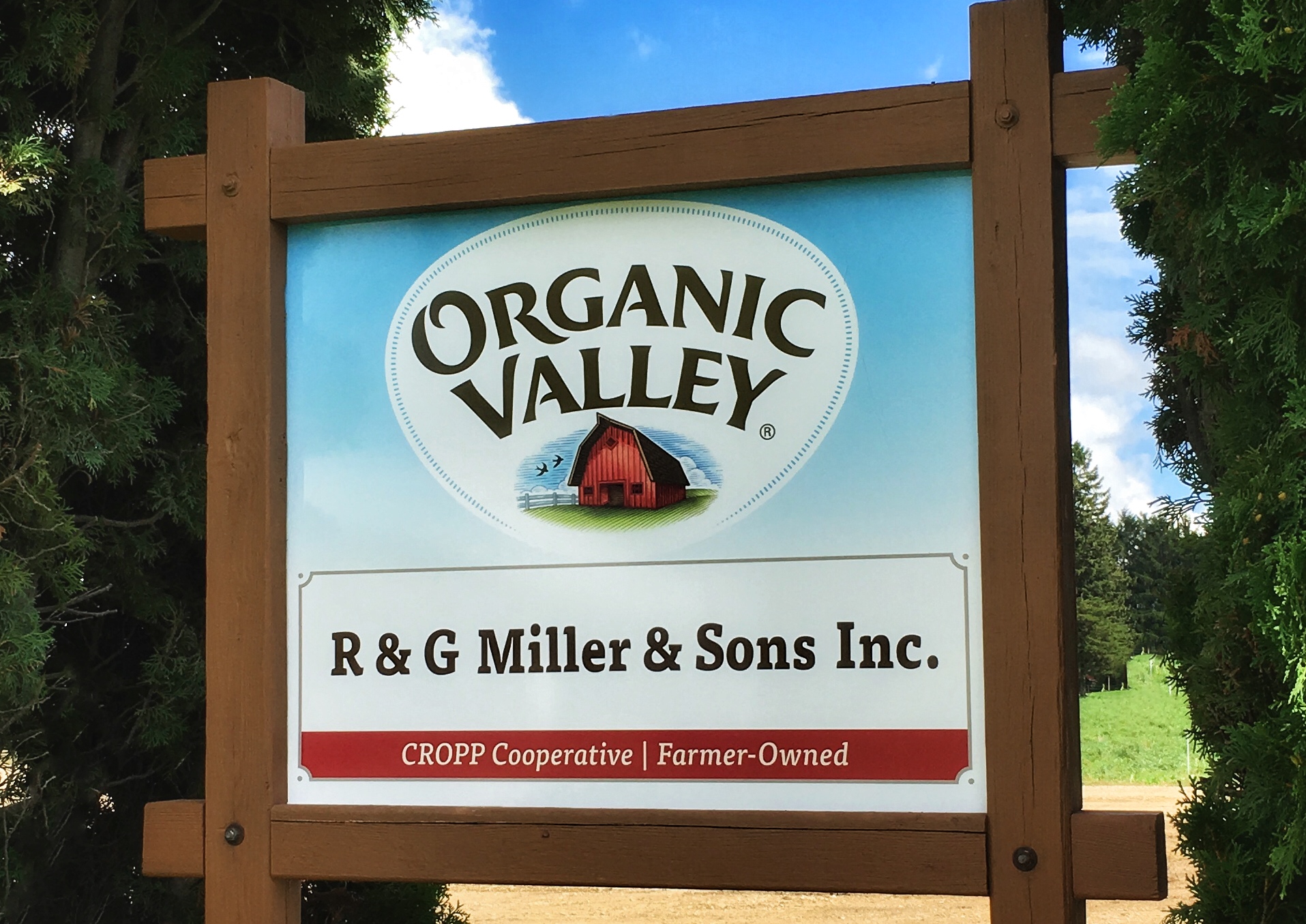 R & G Miller & Sons